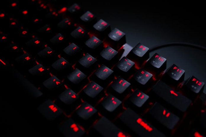 Dreamcodes Kat Wallpaper 112 Dreamcodes Kat Wallpaper 112