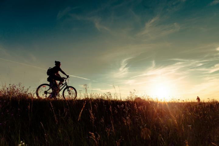 Dreamcodes.net Kategorie Wallpaper HD 67