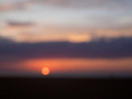 Dreamcodes.net 2026 wallpaper 133