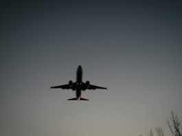 Dreamcodes.net Wallpaper Kategorien Bild 75